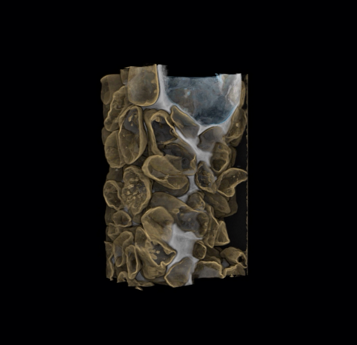 3D image of sand grains