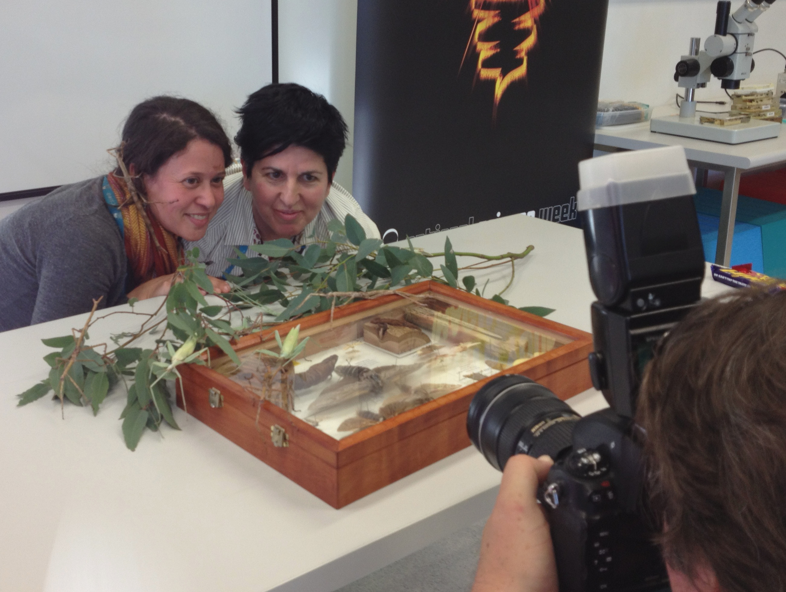 CSIRO scientists posing for photo shoot with stick insects