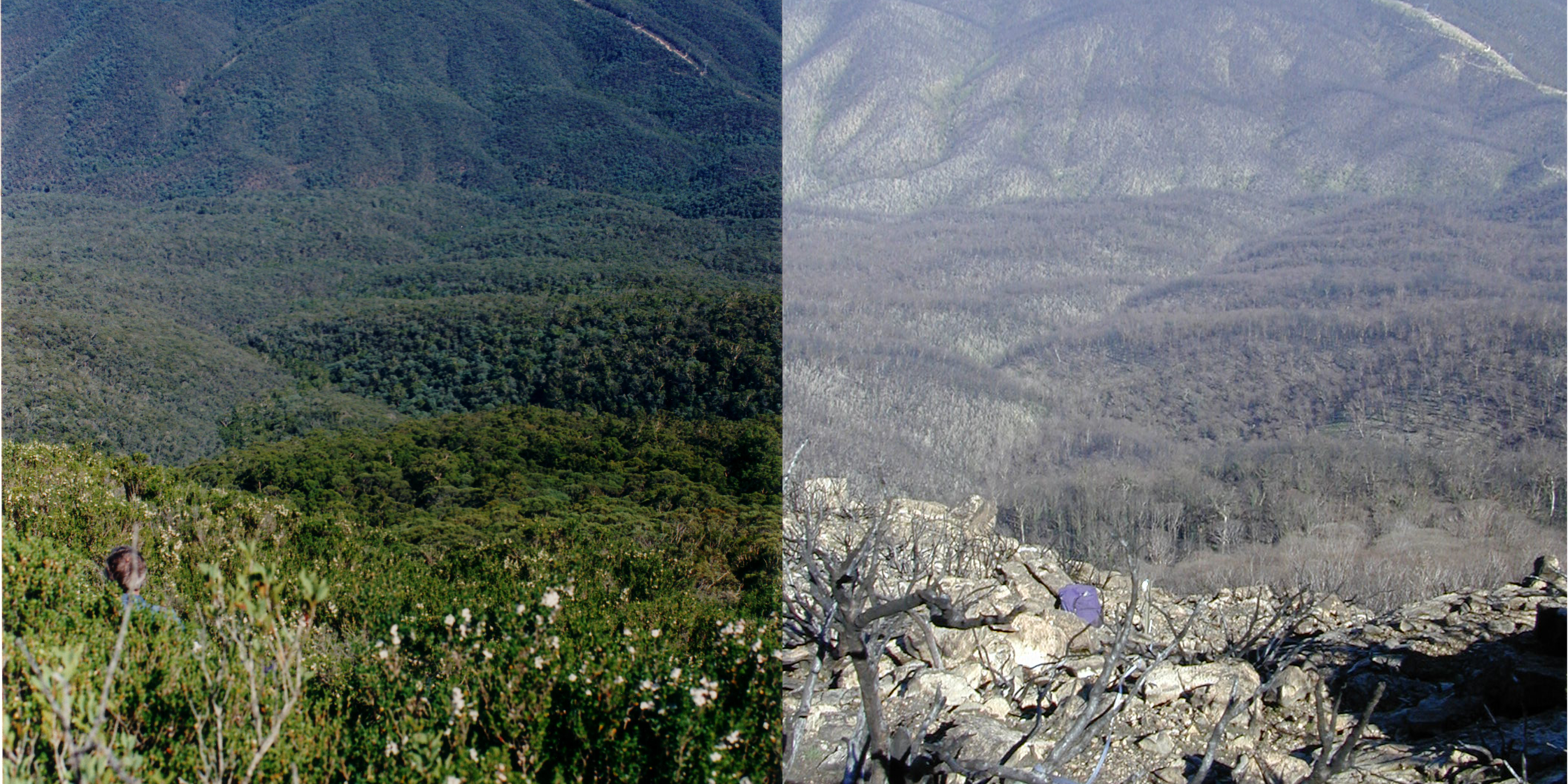 Two images side by side depicting a green mountainous landscape on the left and the same landscape burnt and barren on the right