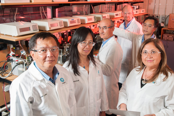 Dr Lan Lam (far left) and some of the team members that work on the UltraBattery in the laboratories in Clayton, Melbourne.