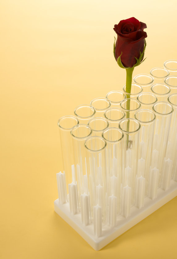 Rose in a test tube