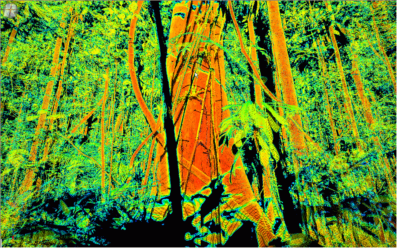 3D image showing forest in green and orange colours