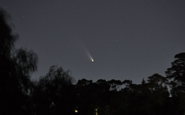 Comet C/2011 PANSTARRS photographed from near  the Mt Burnett Observatory in Victoria by astrophotographer, Chris Samuel