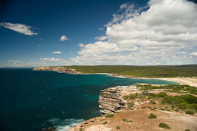 Coastal cliffs in Sydney's Royal National Park. Image: Flickr/AndrewBeeston