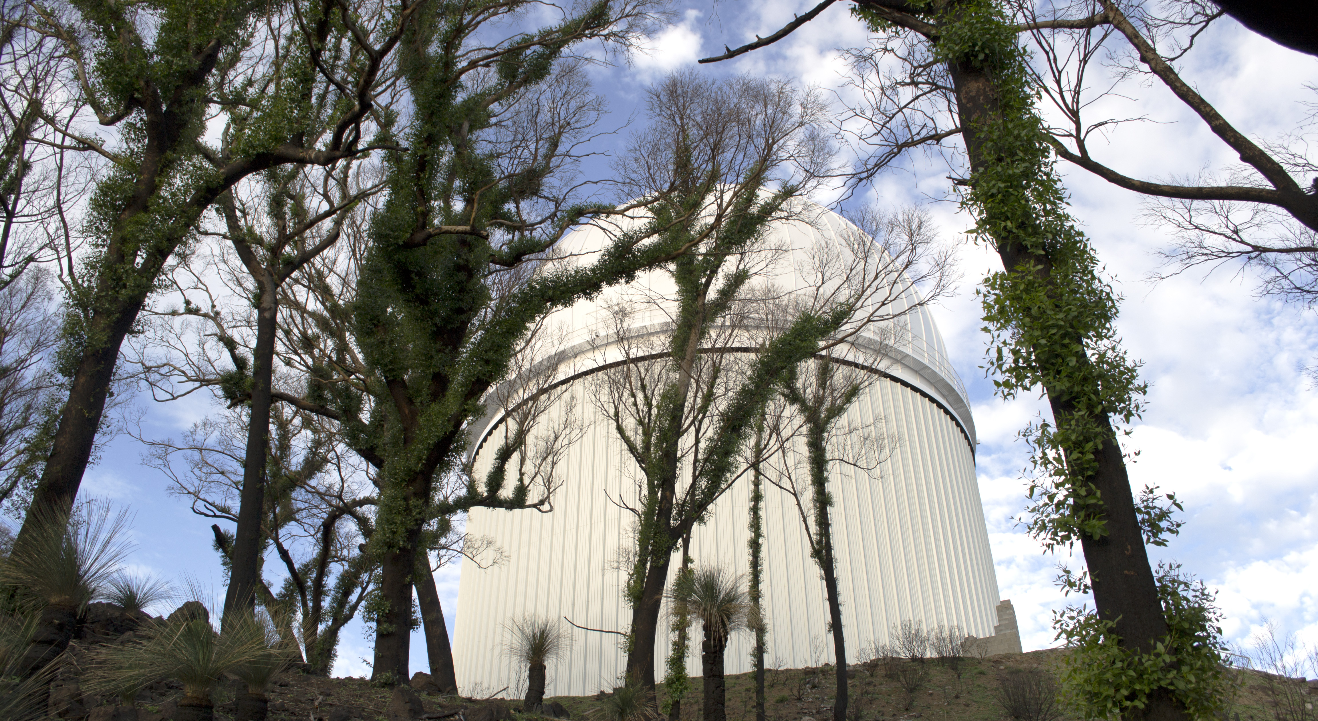 Trees sprouting with new leaves in front of the Anglo-Australian Telescope at Siding Spring Observatory