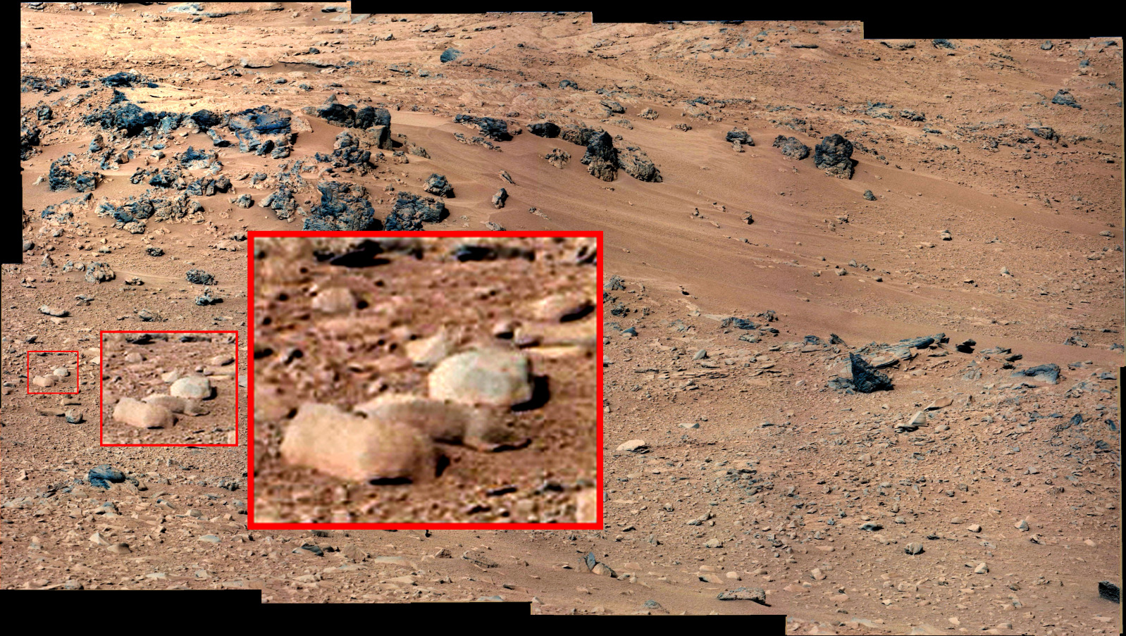 Did NASA's Mars Rover Curiosity really find a squirrel or is it just a rock? Image: NASA/MSSS