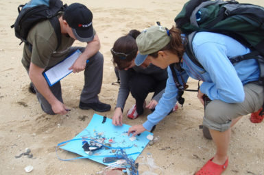 CSIRO scientists and helpers getting down and dirty with marine debris.