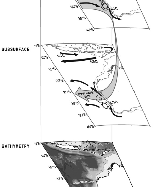 The figure Leeuwin_Current_Anya_Waite_figure.png comes from a published paper: Waite, A., P.Thompson, S. Pesanta, M. Feng, L. Beckley, C. Domingues, D. Gaughanj, C. Hansona, C. Holl, T. Koslow, M.
