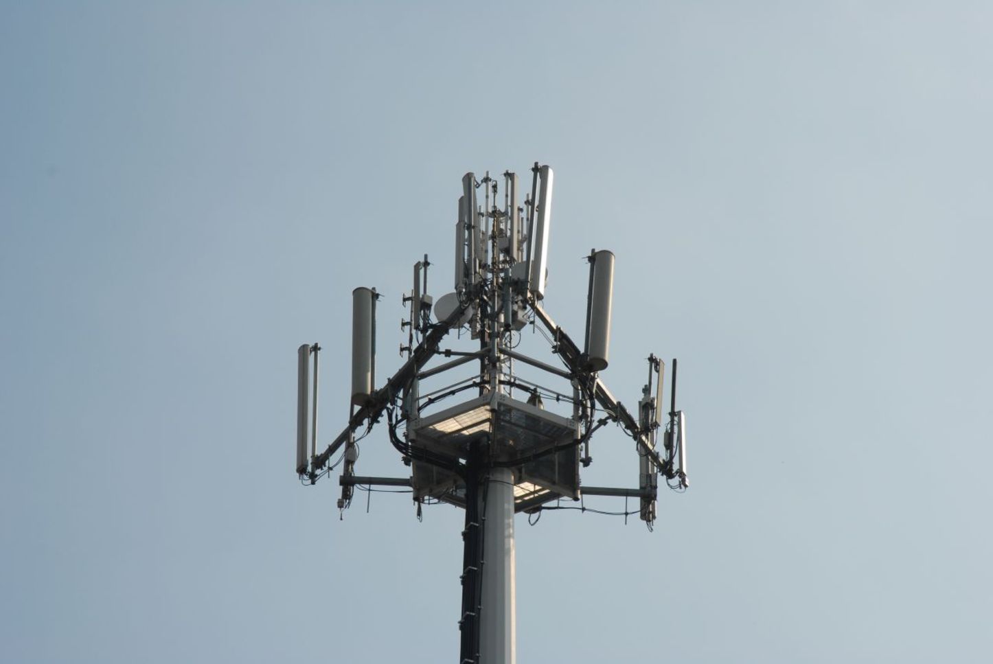 A GSM tower. Image: Luigi Rosa.