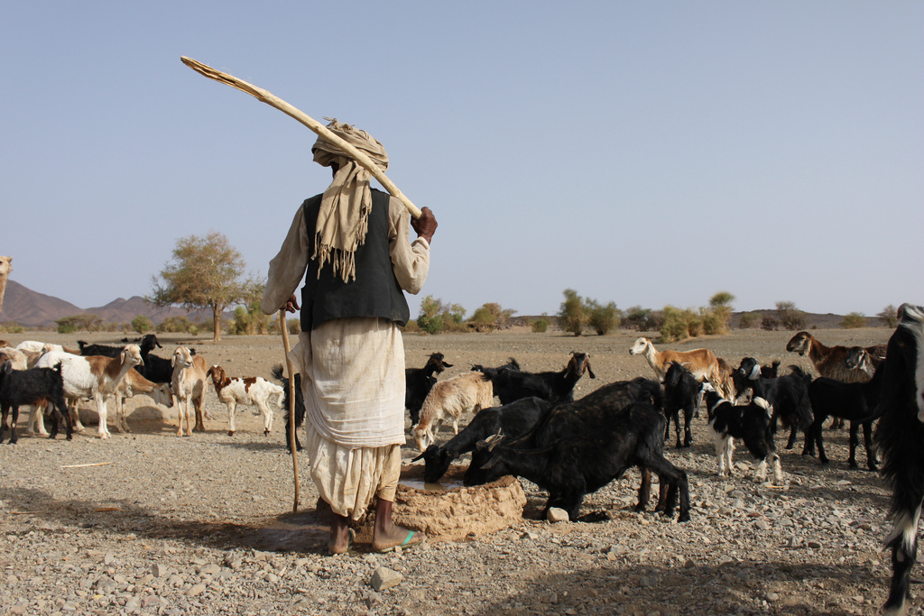 Will the world have enough food in 2050? Image: SOS Sahel UK.