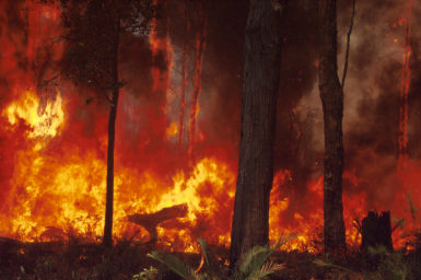 Image of Australian bushfires raging