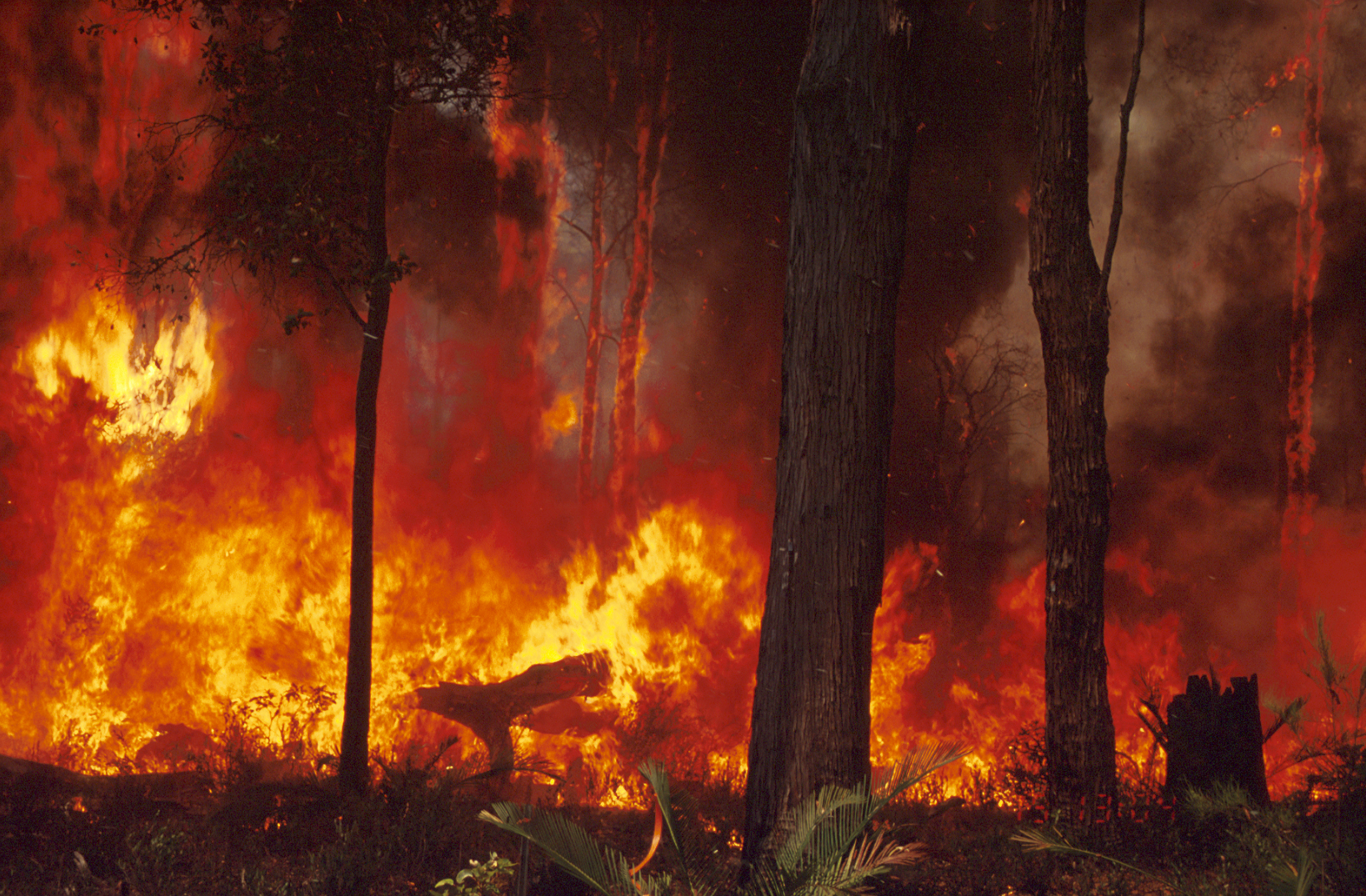 Our new research could could go a long way towards saving lives and properties from the threat of future bushfires. 