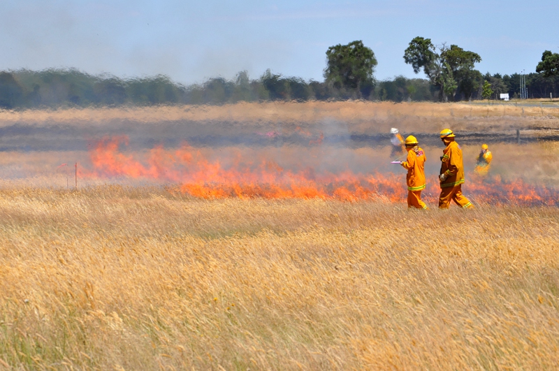 People in fire gear supervise flames burning across grassland