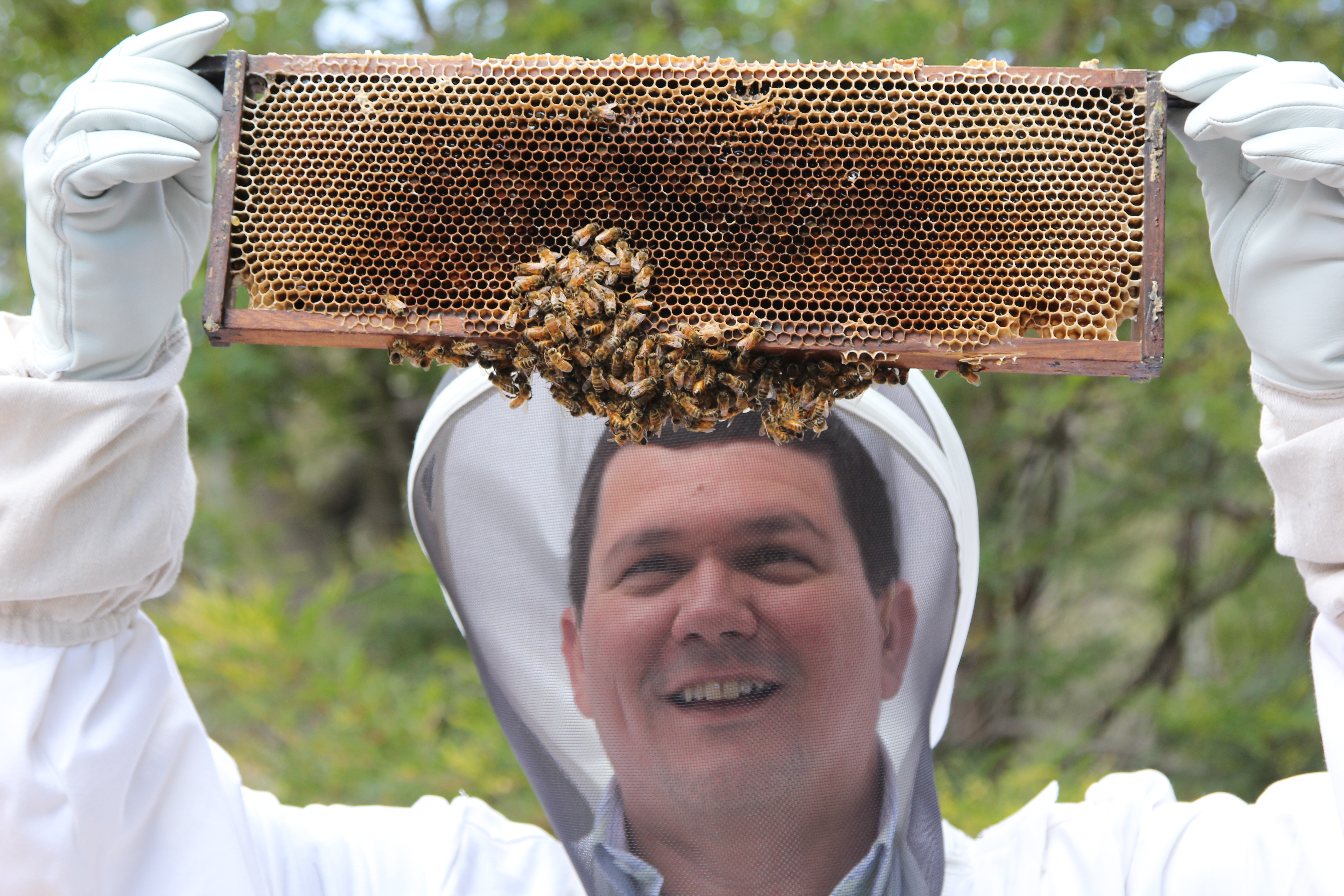 Man holding bee hive