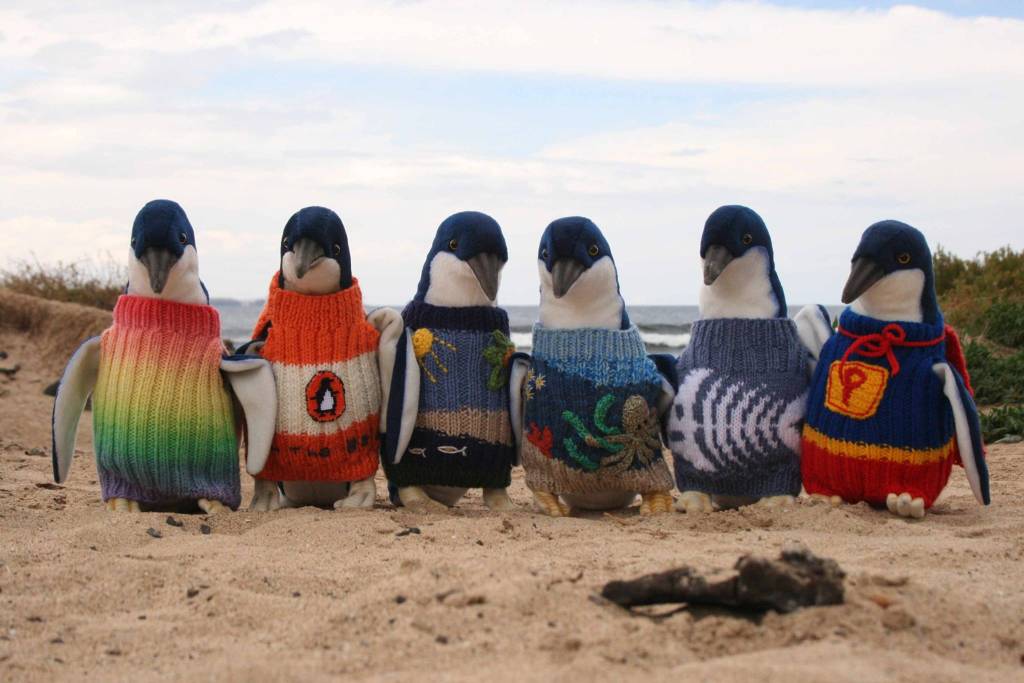 Penguins in jumpers