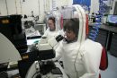 Scientists working on zoonotic agents wearing biosafety suits