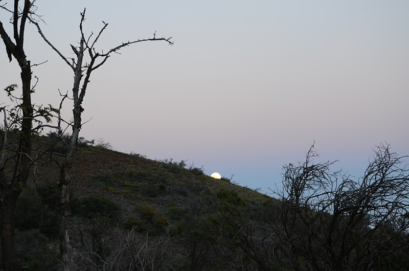 Moonrise from Mauna Kea on 14 April 2014.