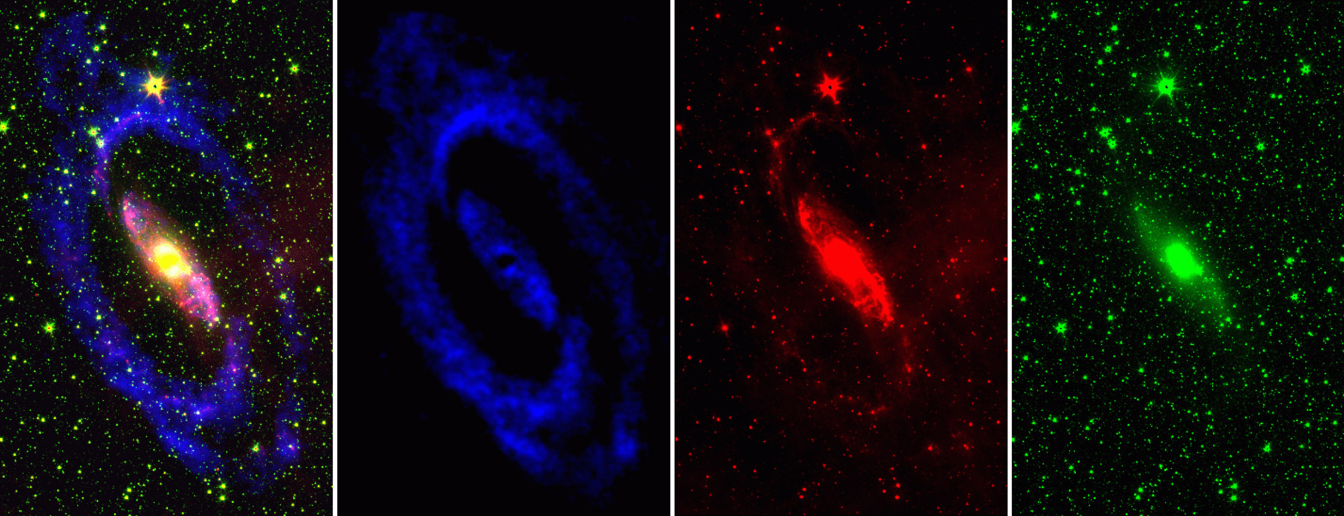 Four maps showing the galaxy Circinus at different wavelengths; on the far left is a multi-coloured swirling image on a black background; second from left is a blue swirl on a black background; second from right is a red swirl on a black background; on the far right is a green swirl on a black background.
