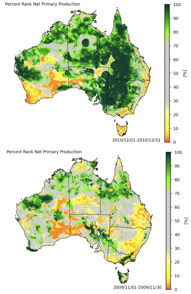 Record rains made Australia a giant green global carbon sink – CSIROscope