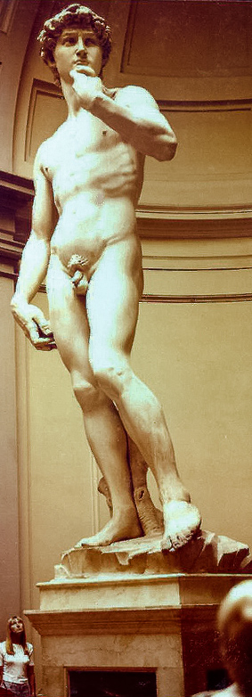 Michaelangelo's statue of David