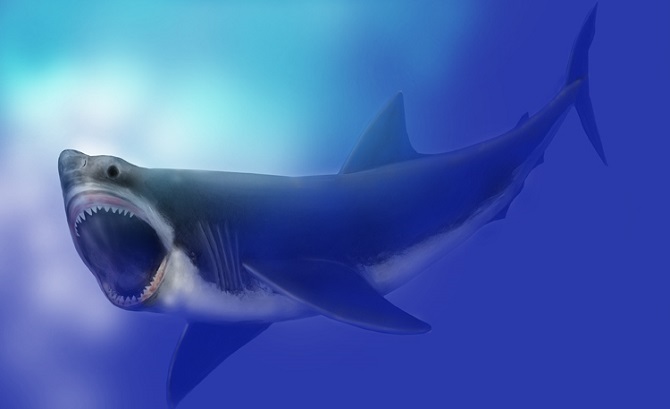 Megaloon