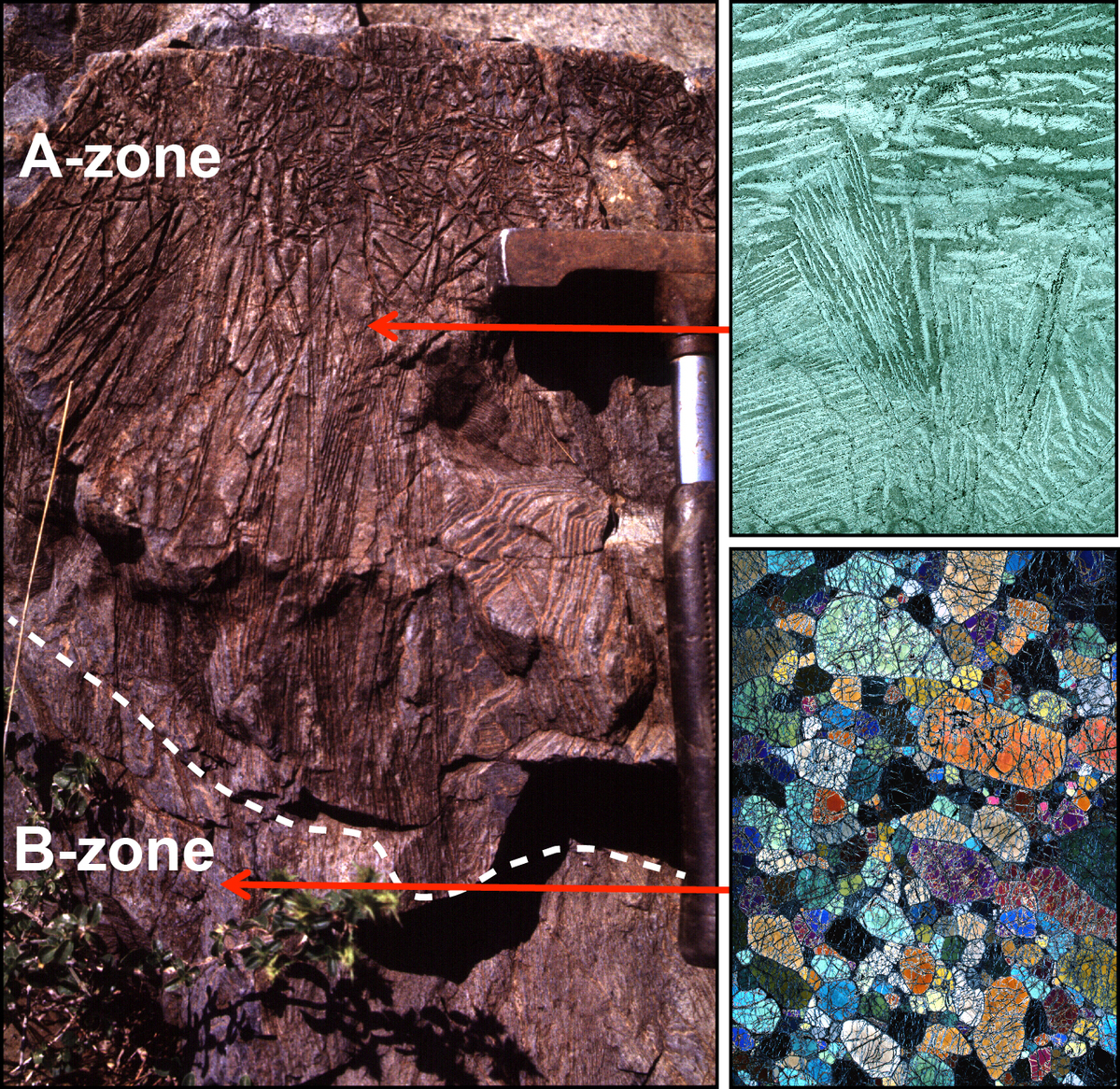 A 3.4-billion-year-old komatiite flow from the Barberton greenstone belt in South Africa, where these ultra-high temperature lavas were first recognised. The A-zone (upper) is dominated by fine crystals of olivine called ‘spinifex texture’, while the B-zone (lower) consists of a solid matrix of olivine crystals, which mark the base of the komatiite lava river. Image: David Mole