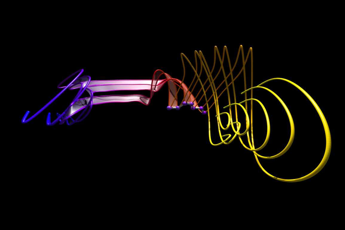 Protein folding visualisation