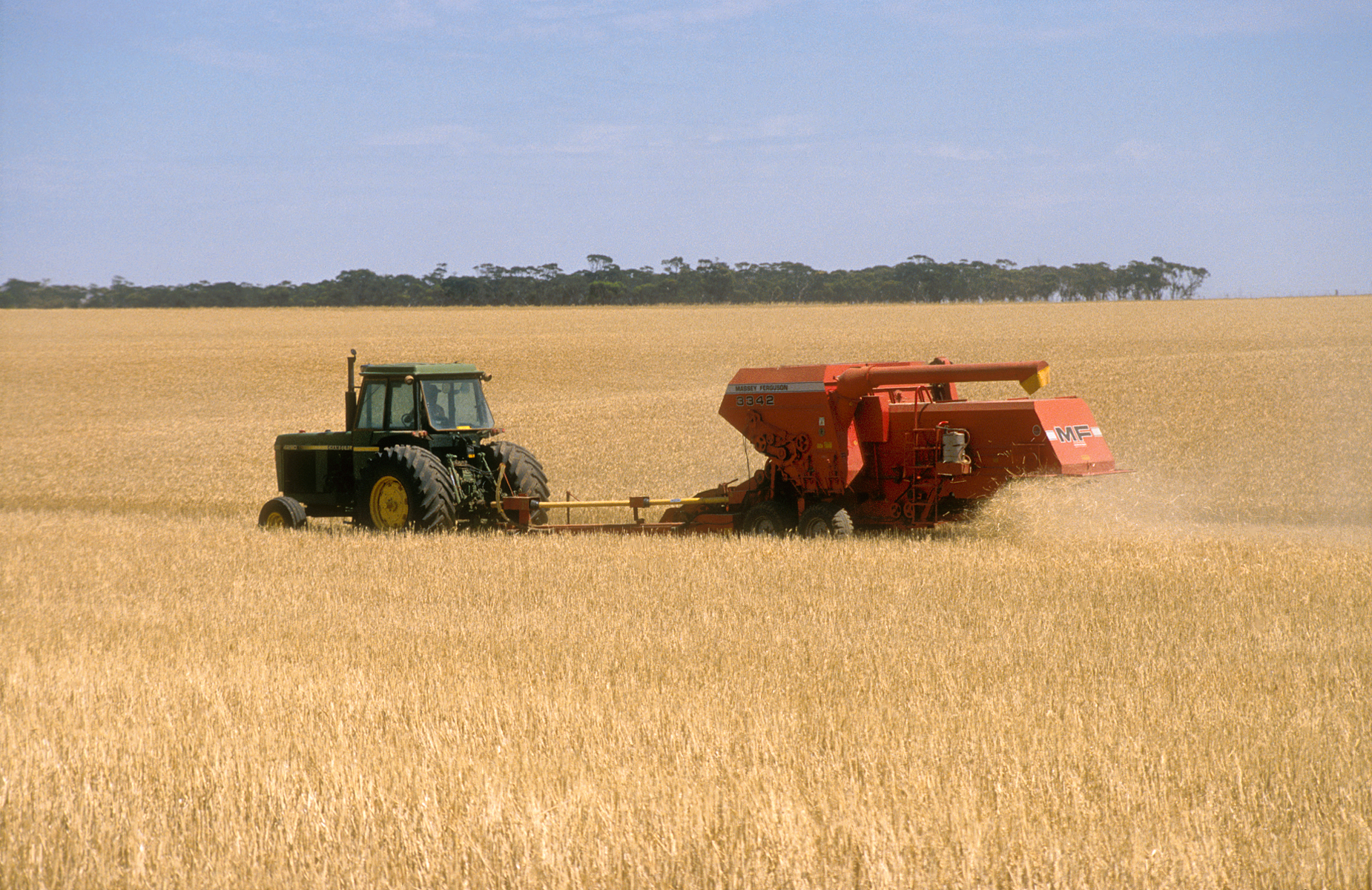 Wheat harvest in SA