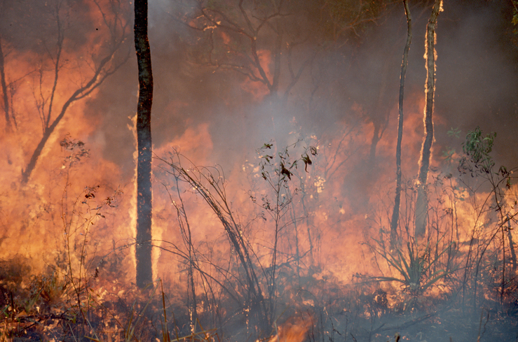 Bushfire in tropical Australia