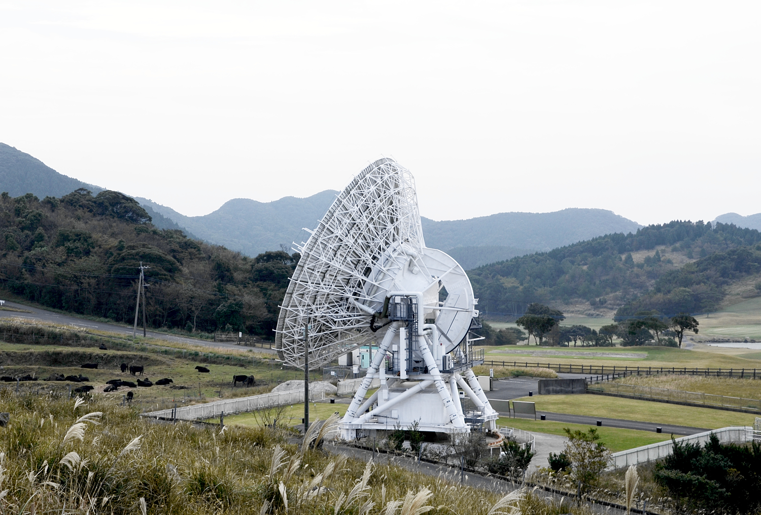 The 20m Iriki telescope, one of the four VERA dishes in Japan.
