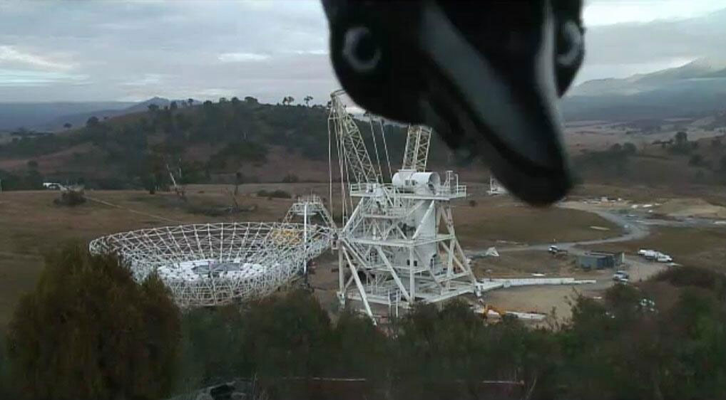 A famous photobomb, taken during the antennae's construction. 