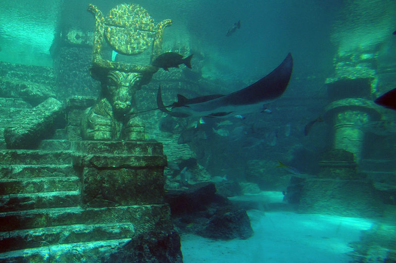 An image from the Atlantis Hotel in the Bahamas.