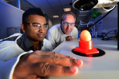 scientists with egg