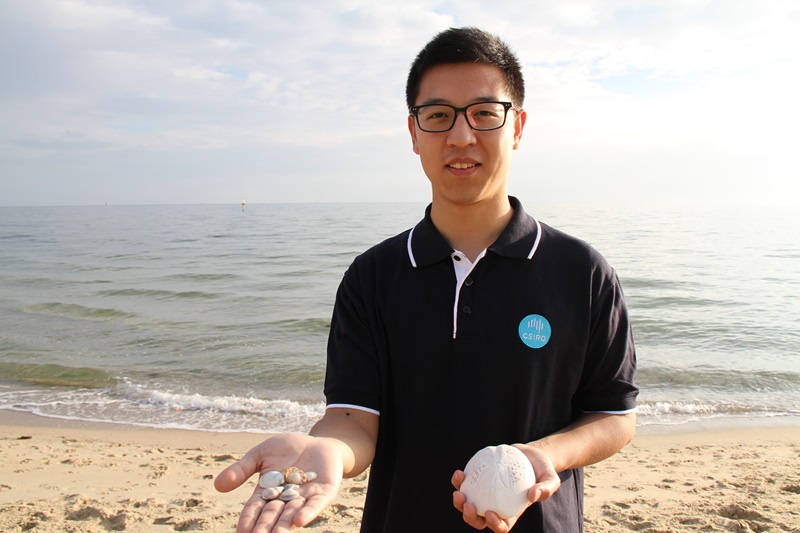 Our materials scientist, Dr Kang Liang, was inspired by the natural biomineralisation process of seashells.