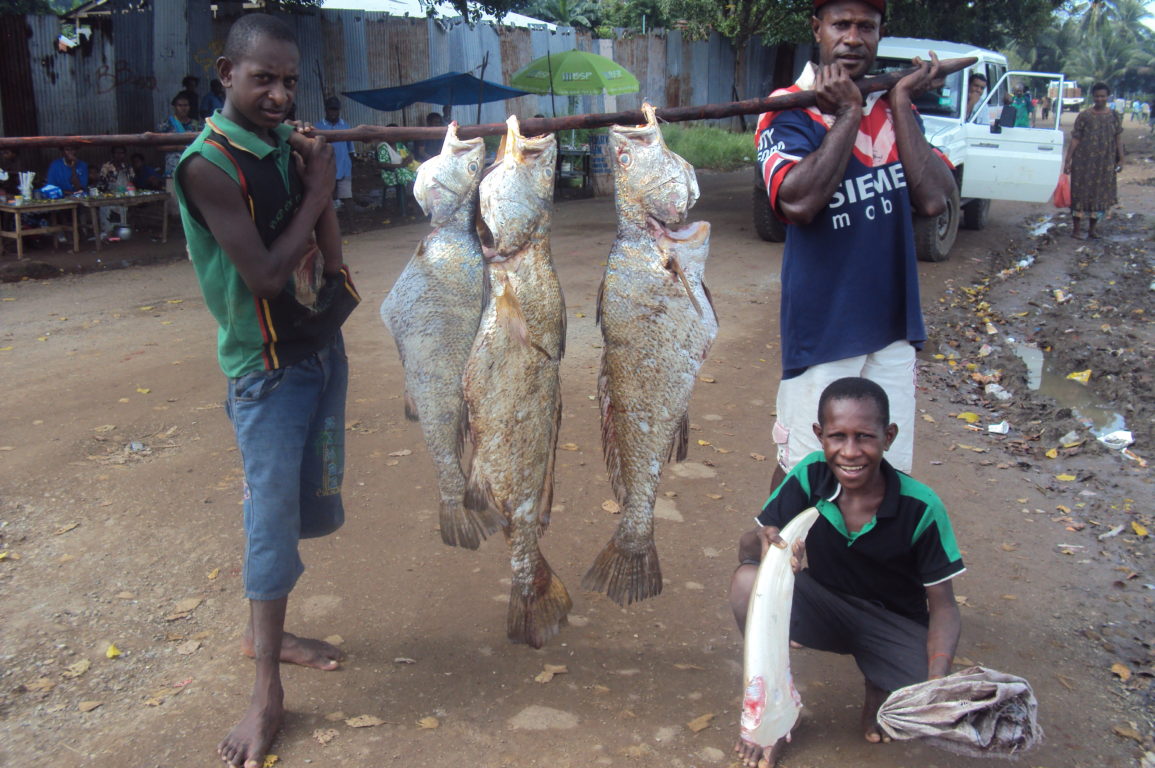 Local fishermen carry Jewfish catch
