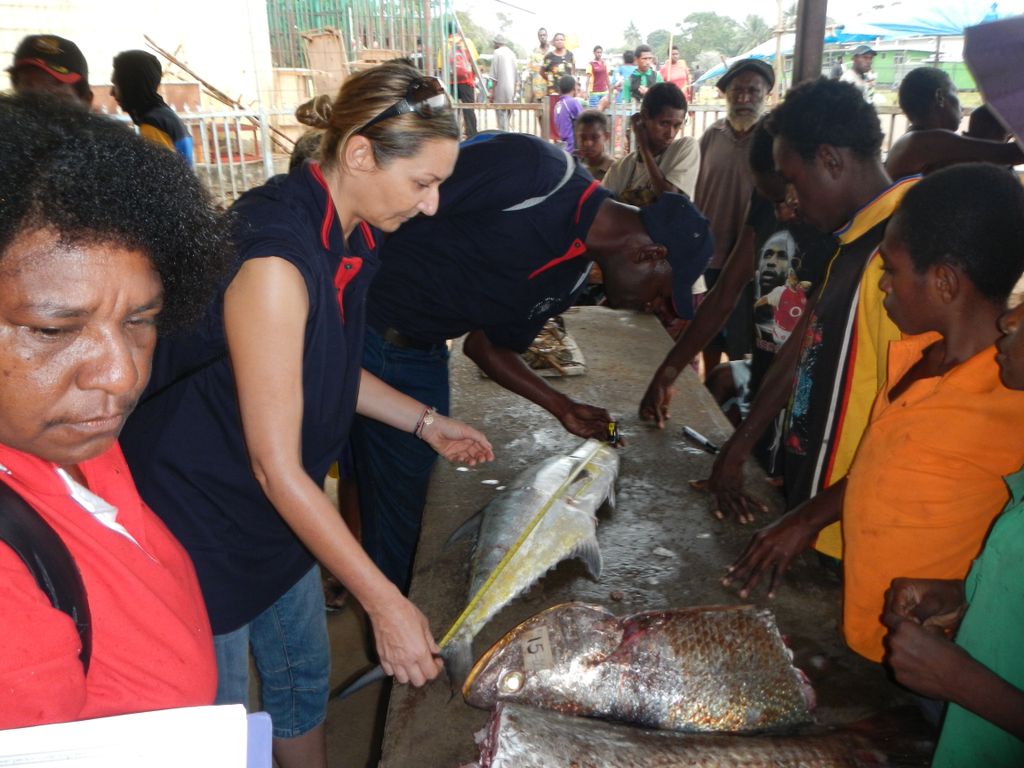 People inspecting fish at a market