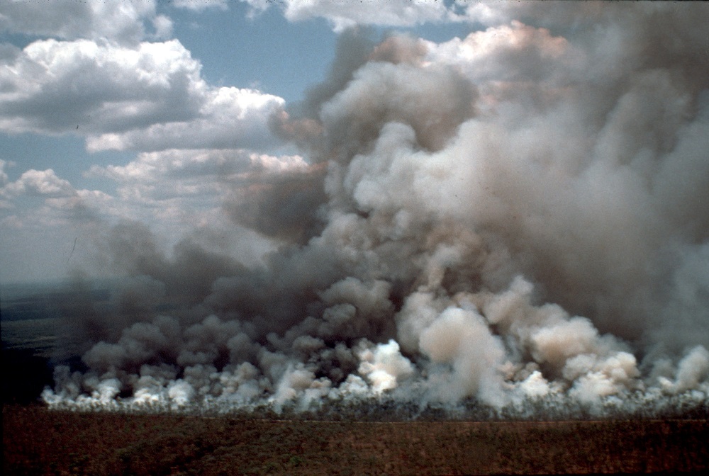 Bushfire basics: what you need to know - CSIROscope