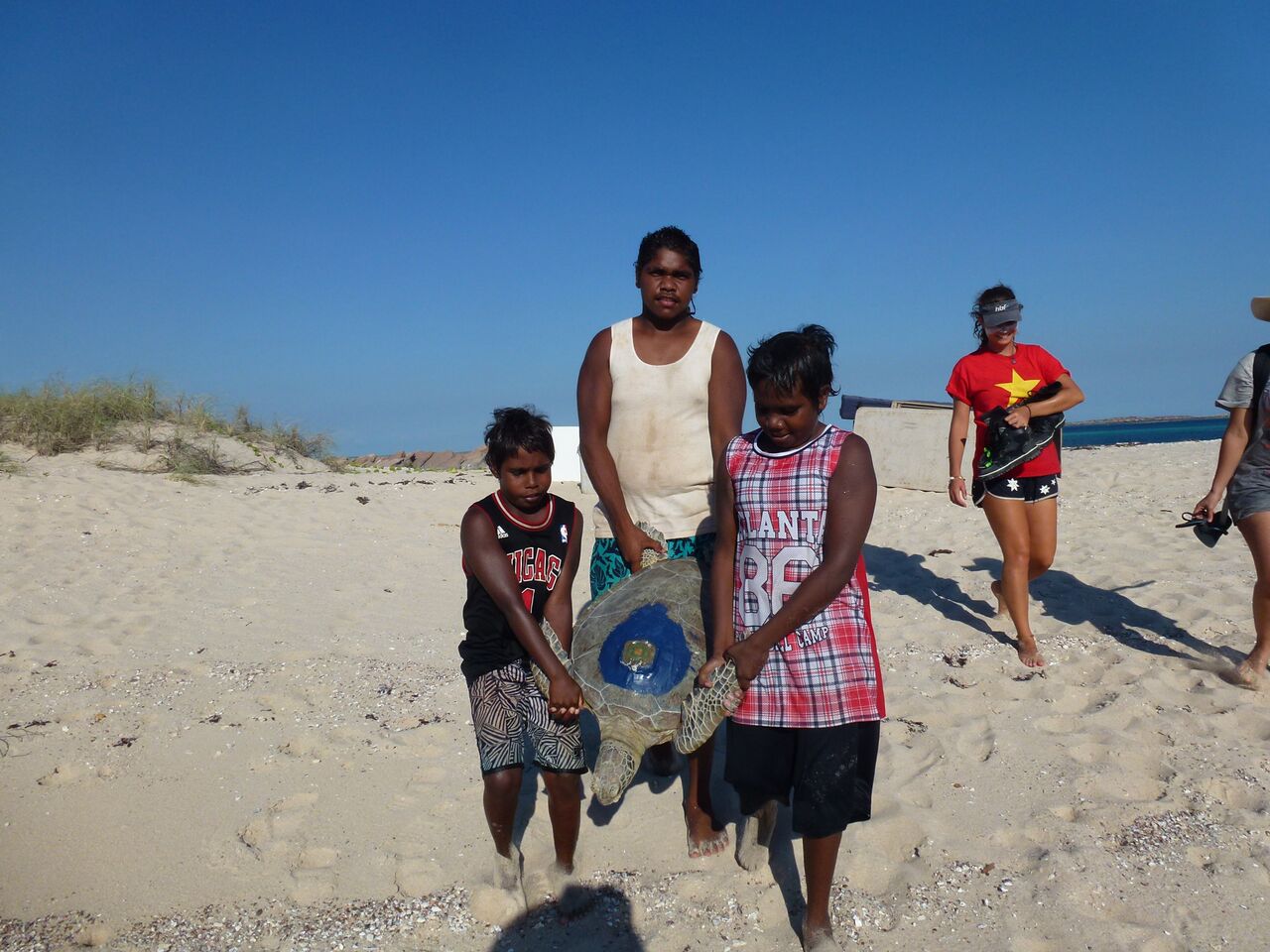 Students from One Arm Point Remote Community School releasing Green Turtle with satellite tag