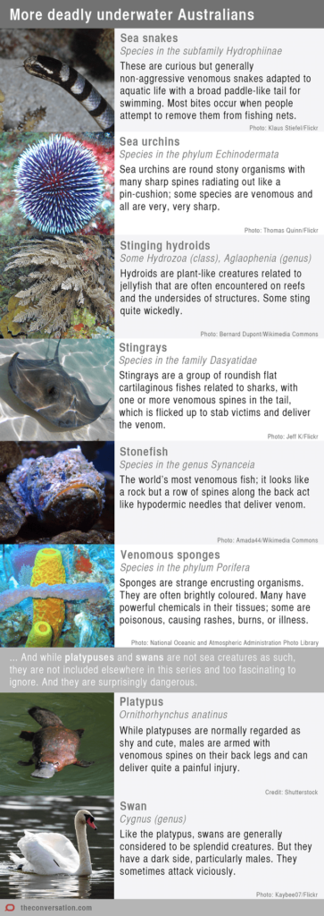 More deadly underwater Australians