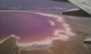 Kati Thanda–Lake Eyre from a plane (it's not always pink - that's algae). Image: Wikipedia