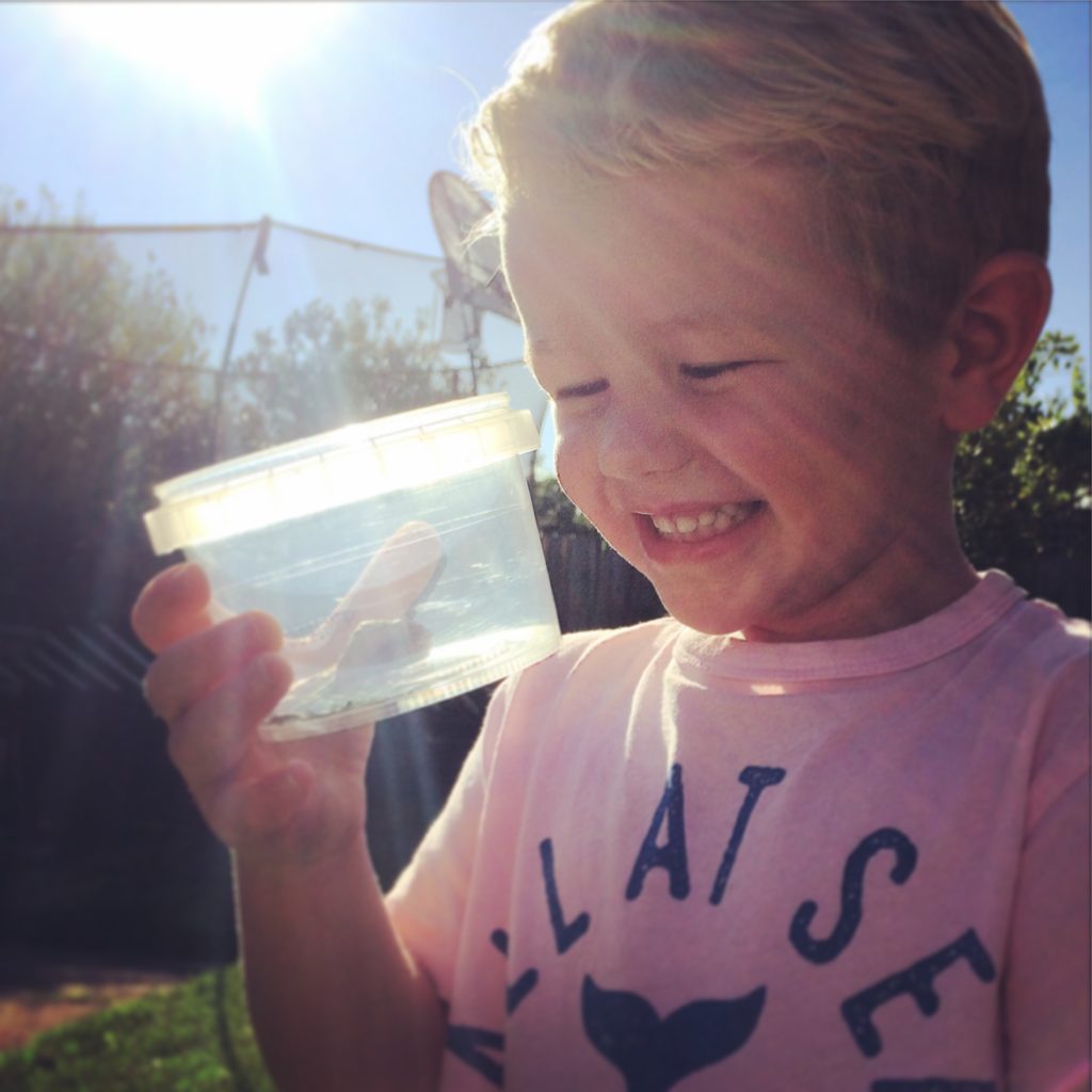 A young boy looking at a bug in a container