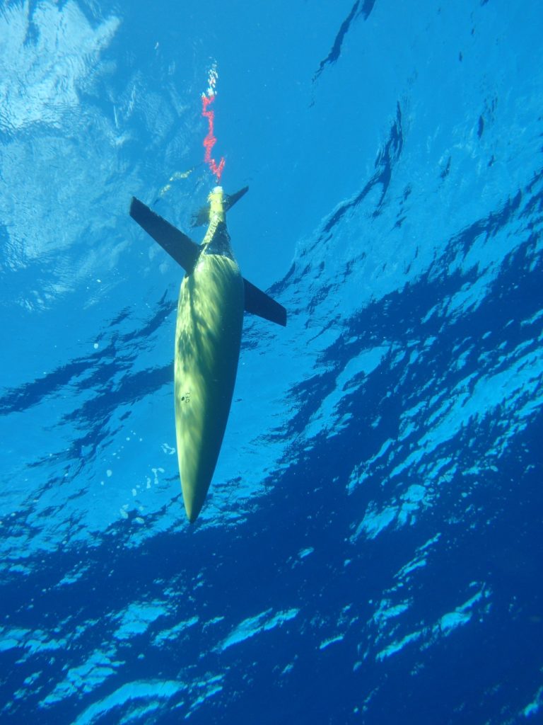 An IMOS ocean glider, Image credit - Australian Institute of Marine Science