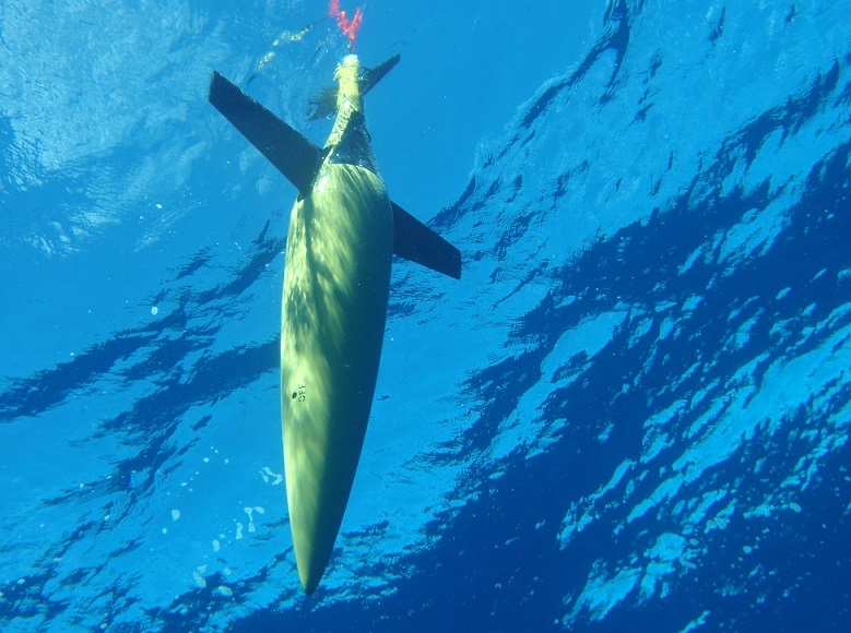 An IMOS ocean glider, image credit: Australian Institute of Marine Science