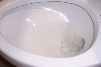 a close up of a toilet with fake poo for testing