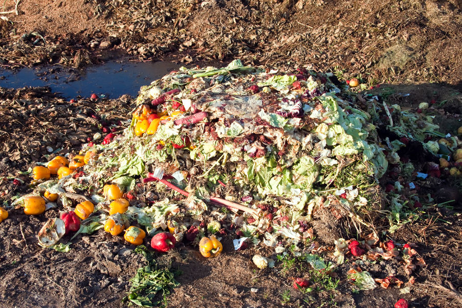 a pile of food waste