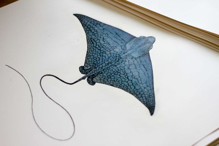 Illustration of a blue eagle ray