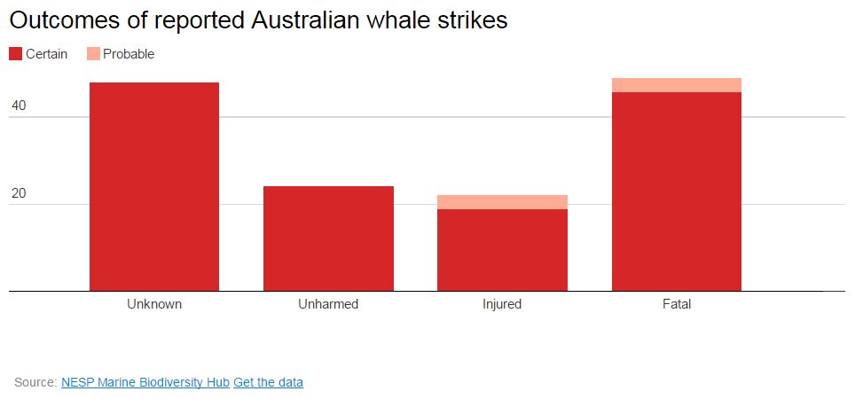 outcomes-of-reported-australian-whale-strikes