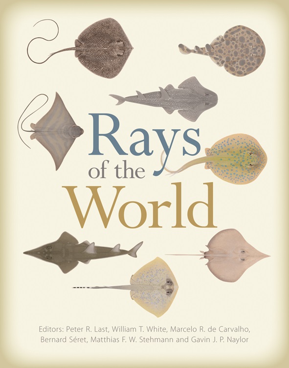 Cover of the book Rays of the World showing paintings of the upper sides of eight different ray species by artist Lindsay Marshall.