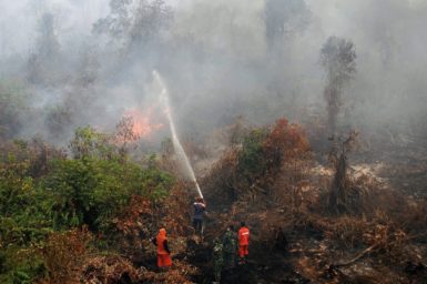 Firefighters fight forest fire in Indonesia, triggered in part by El Nino. EPA/RONY MUHARRMAN