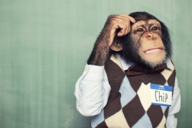 A chimp wearing a shirt and vest thinking